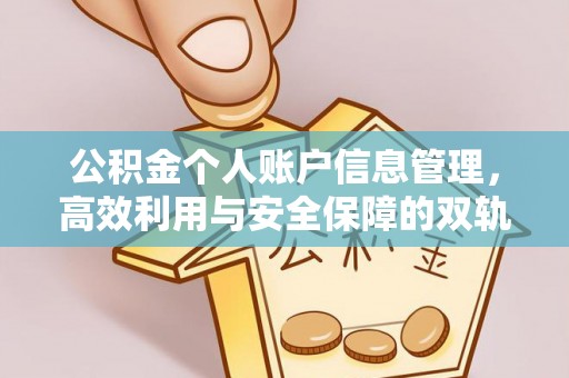 代缴公积金个人账户信息管理，高效利用与安全保障的双轨并行
