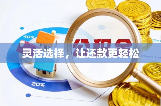 代缴灵活选择，让还款更轻松