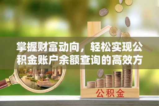 代缴掌握财富动向，轻松实现公积金账户余额查询的高效方式