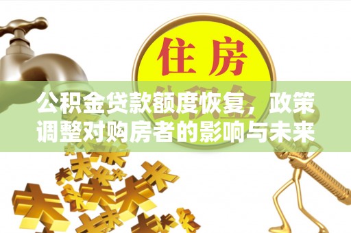 代缴公积金贷款额度恢复，政策调整对购房者的影响与未来展望
