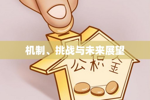 代缴机制、挑战与未来展望